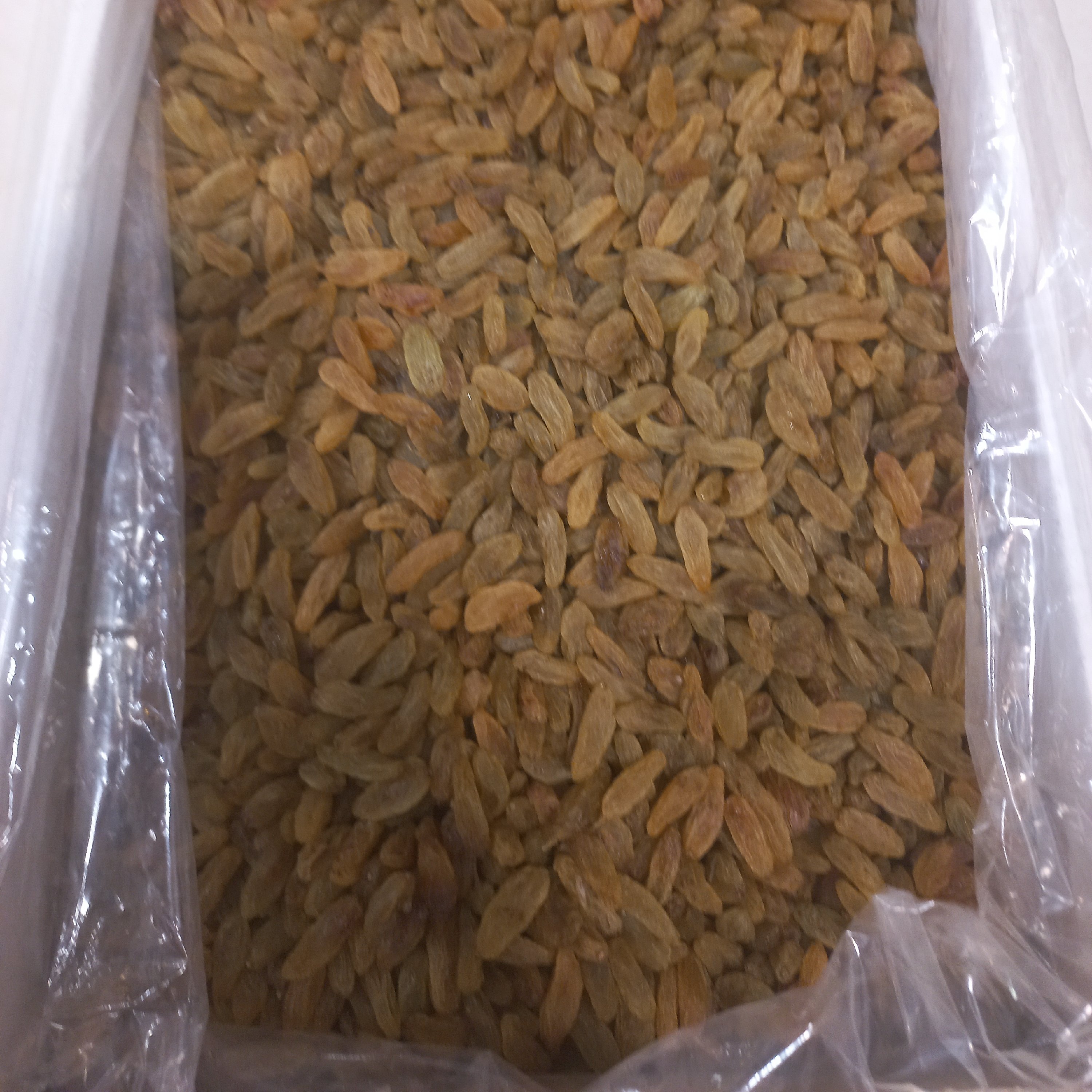 کشمش سبز سوپر لوکس عمده(5کیلویی)