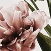 تابلو سالی وود طرح گل لاله کد T110614 مجموعه 3 عددی