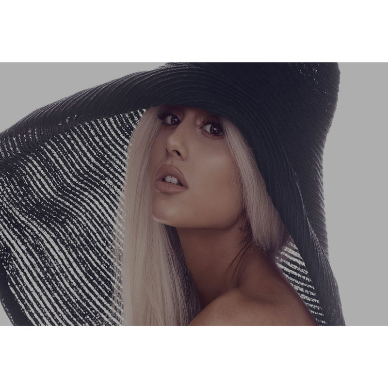 تابلو شاسی مدل خواننده آریانا گرانده T6033 | دنیای قاب