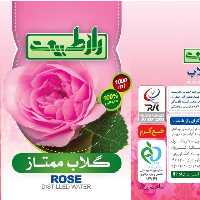 گلاب ممتاز راز طبیعت