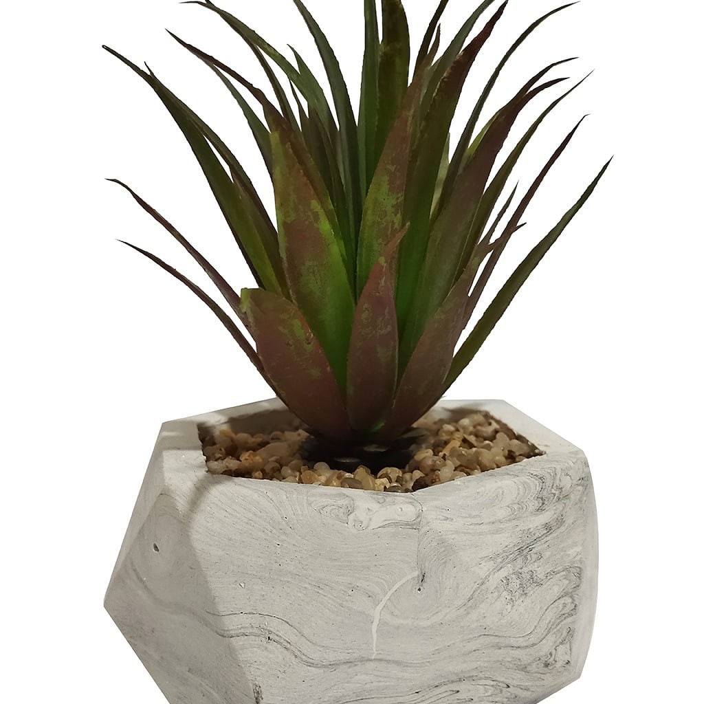 گلدان کاکتوس بتنی کد 14094