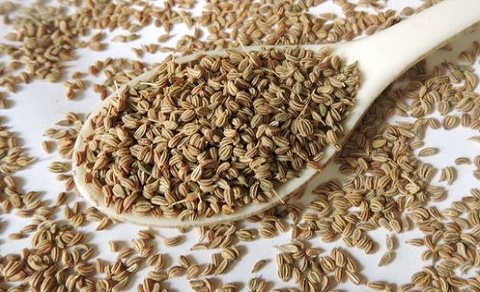 پاورپوینت خواص درمانی گیاه زنیان