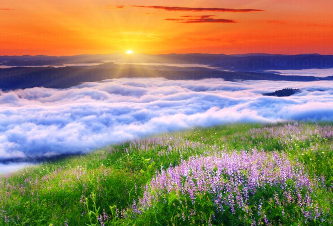 خرید و دانلود عکس Nature-Part-8 کد 37225 | پیک فاکس | Pic Fox