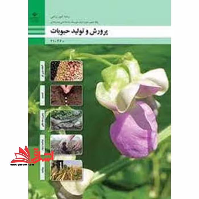 *پرینت سیاه و سفید* حیطه تخصصی آزمون استخدامی آموزش و پرورش عنوان شغل حیطه تخصصی هنرآموز امور زراعی و باغی شایستگی های فنی کارگاهی امور زراعی پرورش و تولید حبوبات - فروشگاه کتاب اشراق