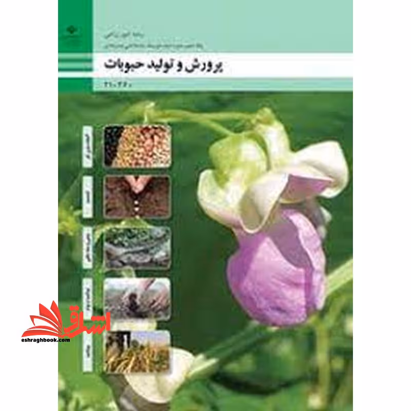 *پرینت سیاه و سفید* حیطه تخصصی آزمون استخدامی آموزش و پرورش عنوان شغل حیطه تخصصی هنرآموز امور زراعی و باغی شایستگی های فنی کارگاهی امور زراعی پرورش و تولید حبوبات - فروشگاه کتاب اشراق