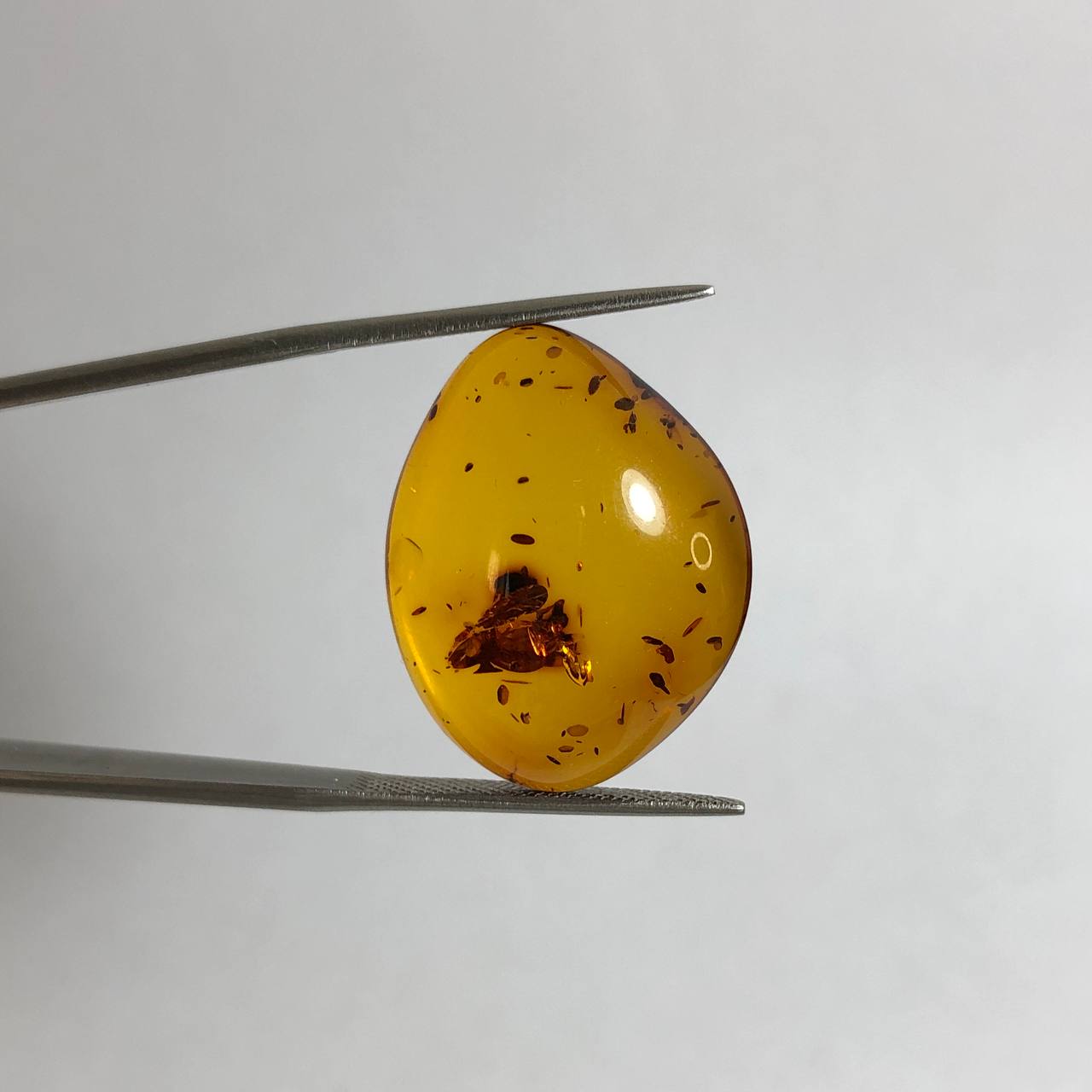 نگین کهربا طبیعی دریای بالتیک 240319