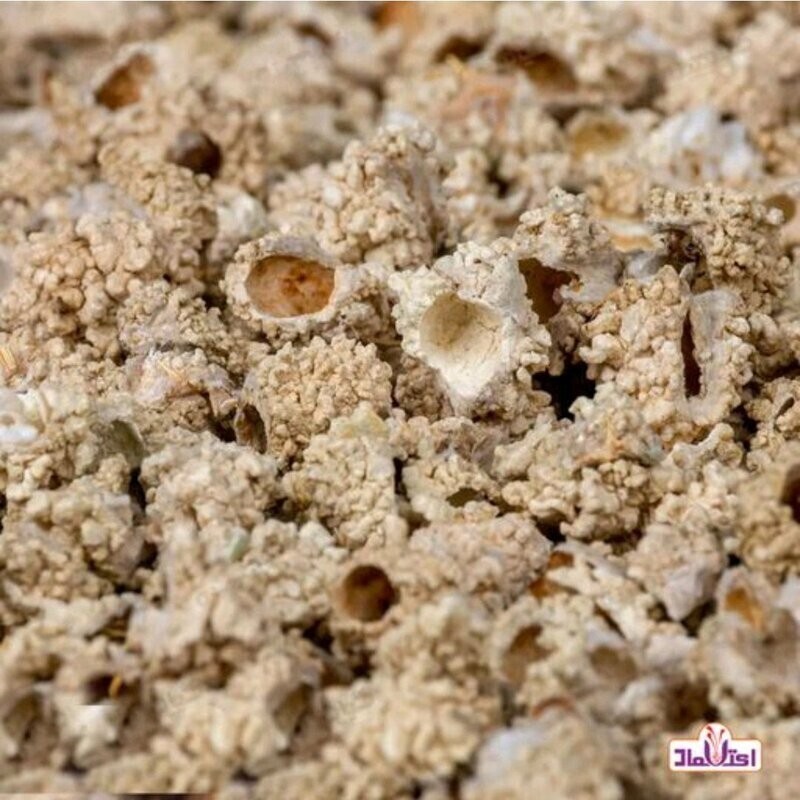 شکر تیغال 50 گرمی اعتماد ( شکرتیغال )(خارشکر ) - حذف شده