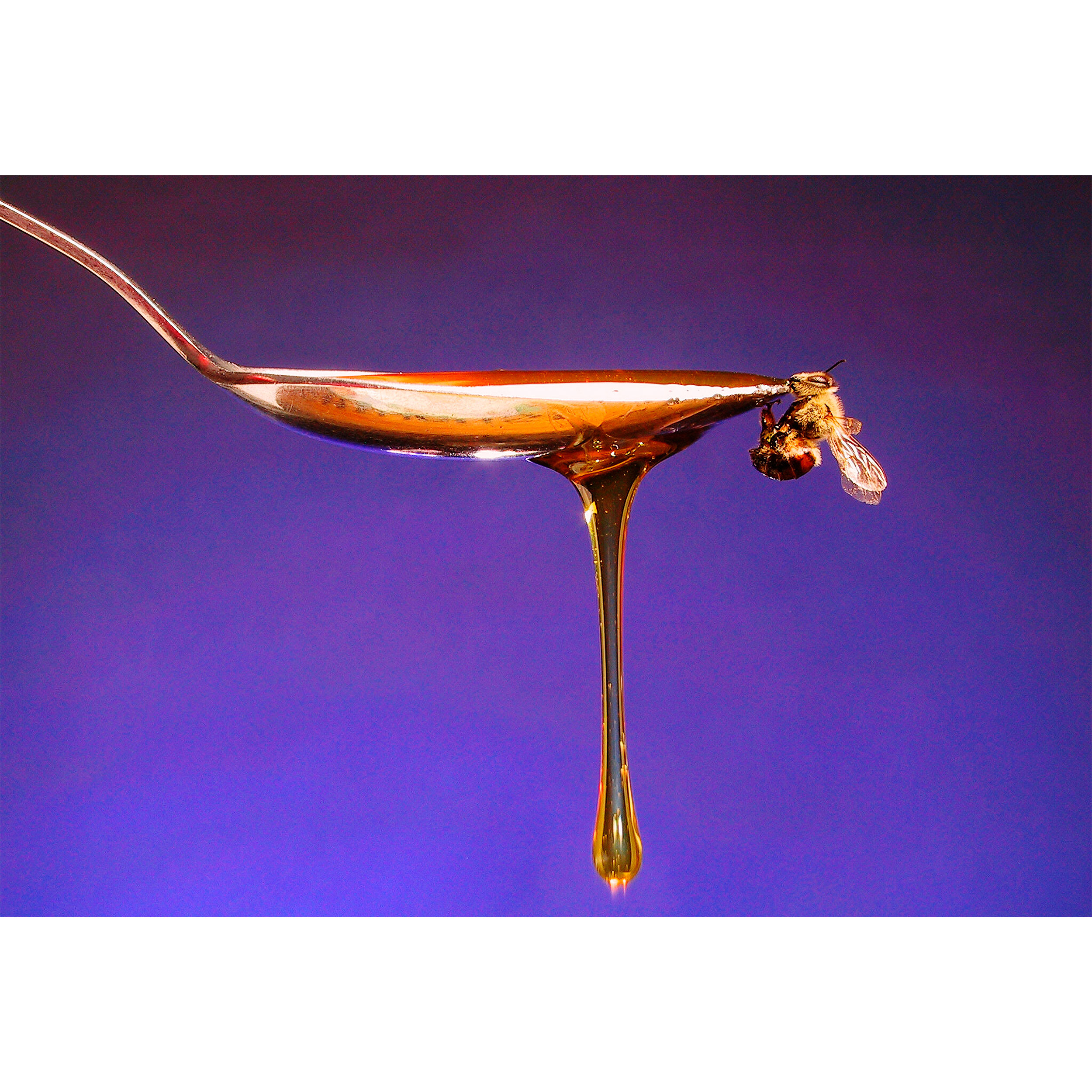 تابلو شاسی مدل قاشق و عسل و زنبور T5855