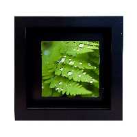 تابلو کاشی طرح برگ مدل RM 1087