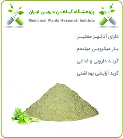 عصاره کرفس خشک (پودری)