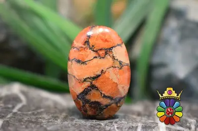 مرجان فسیلی