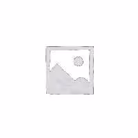 آی سی TDA9800