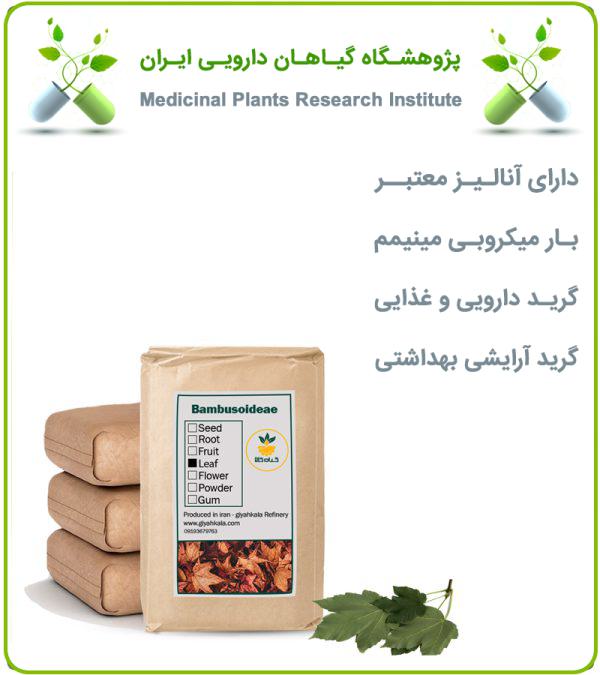 برگ افرا خشک فله