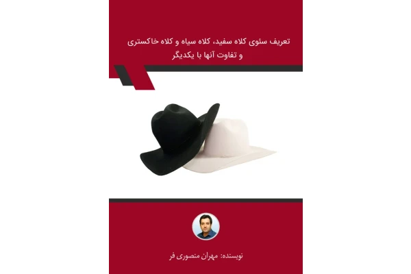 کتاب سئوی کلاه سفید،سیاه و خاکستری - کتابخانه مجازی واتیکان