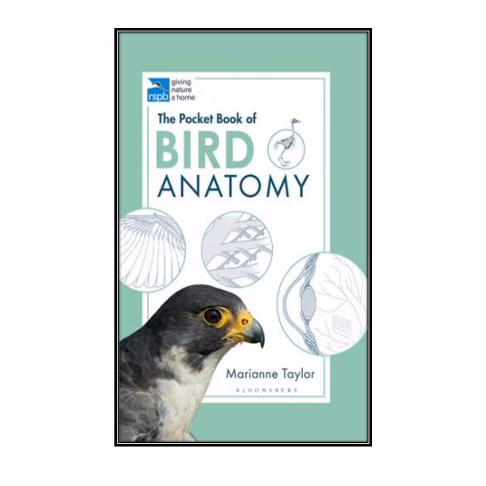 کتاب The Pocket Book of Bird Anatomy اثر Marianne Taylor انتشارات مولفین طلایی 
