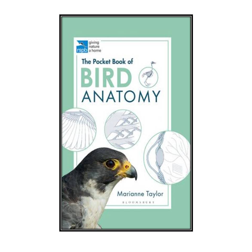 کتاب The Pocket Book of Bird Anatomy اثر Marianne Taylor انتشارات مولفین طلایی 