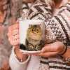 ماگ طرح گربه مدل persian cat