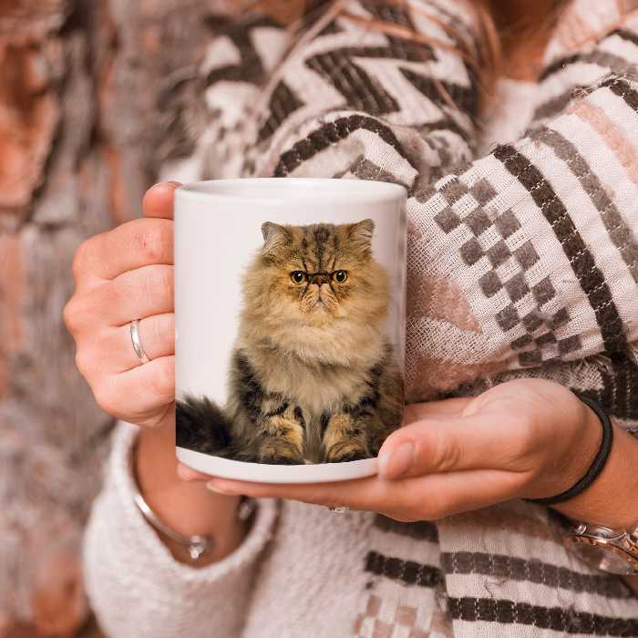 ماگ طرح گربه مدل persian cat