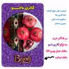 پیکسل گالری باجو طرح یلدا کد 106