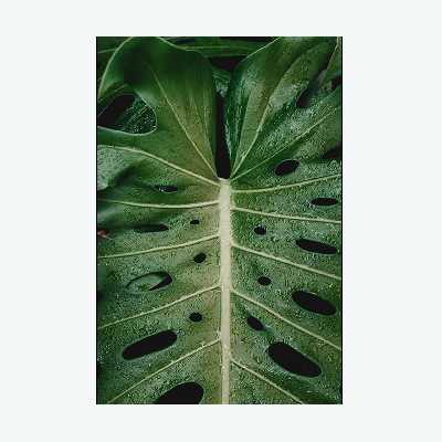 تابلو شاسی مدل 0101 مجموعه 4 عددی