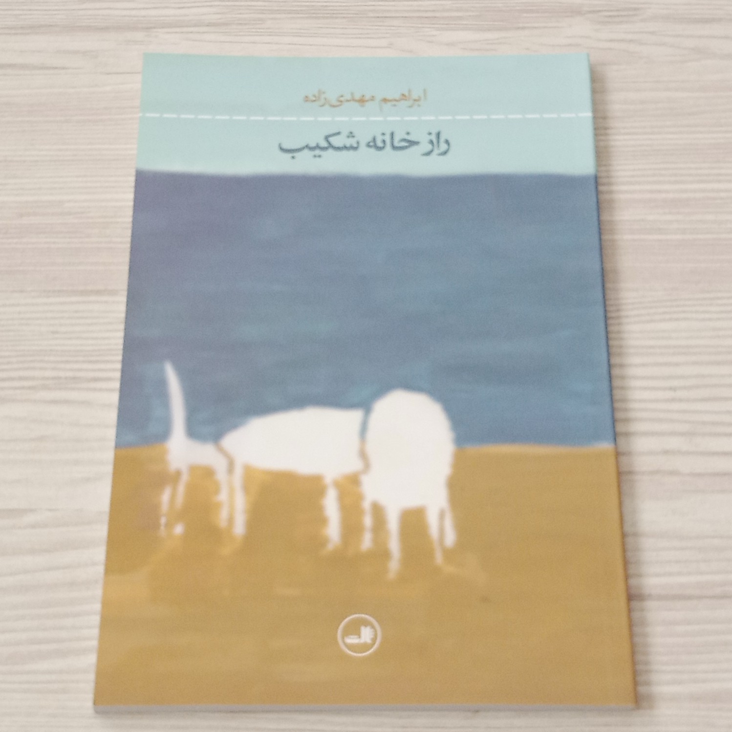 راز خانه شکیب