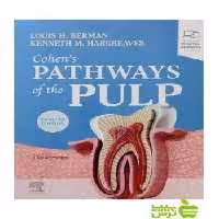 Cohen's Pathways of the Pulp 2020 اندیشه رفیع - خرید با تخفیف ویژه