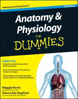 [EPUB] دانلود کتاب Anatomy And Physiology For Dummies, 2nd ed, 2013;2011