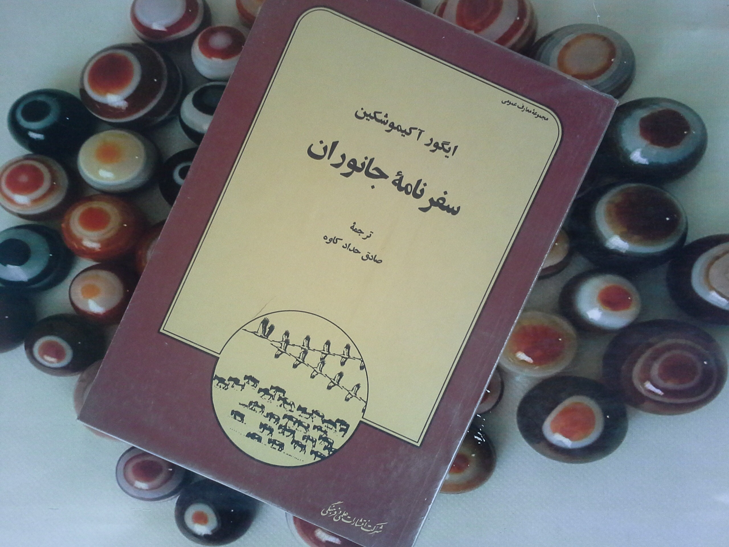 کتاب سفرنامه جانوران - خرید با تخفیف چهل درصد از کتاب دایره قهوه ای