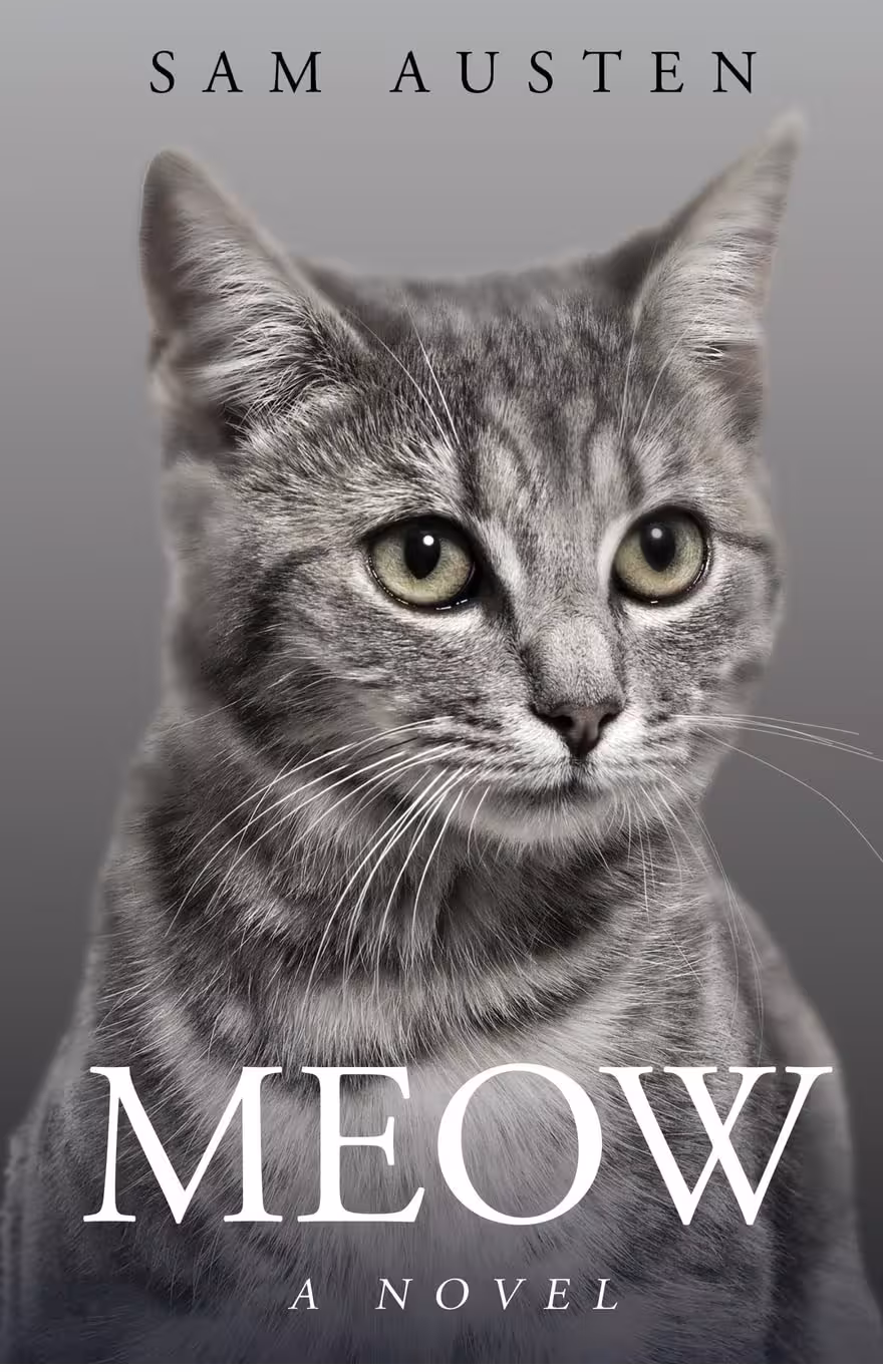 خرید و دانلود کتاب Meow (رمان میو) PDF پی دی اف