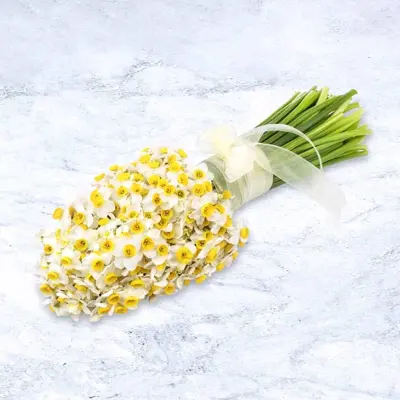 دسته گل نرگس کد 022