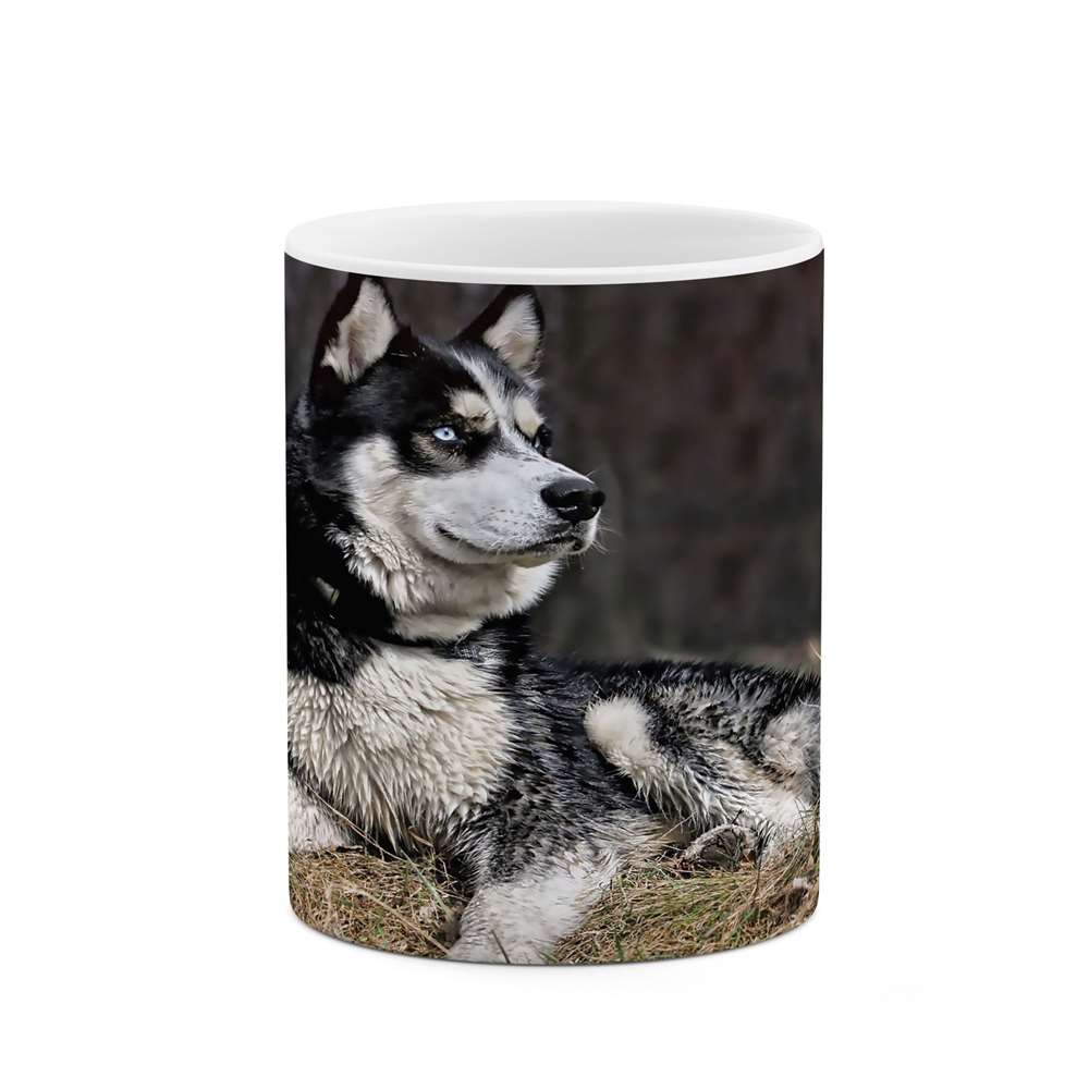 ماگ طرح گرگ مدل mgs05042