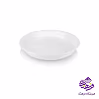 زيرگلدان اشکان 2نو