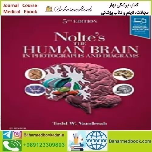 Nolte's The Human Brain in Photographs and Diagrams 2020 T