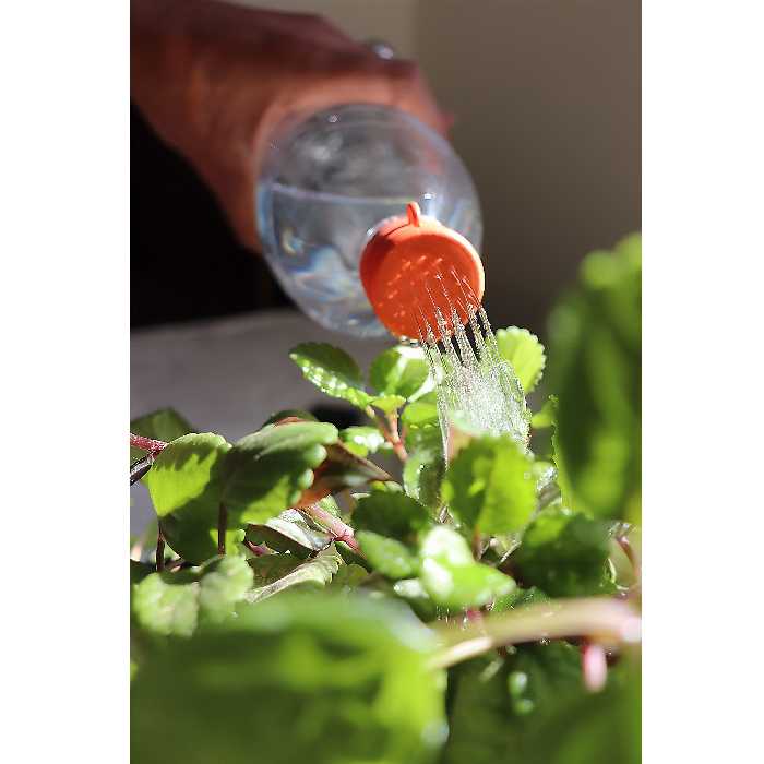 آرام ریز بطری مدل RR-WS4 مجموعه 2 عددی