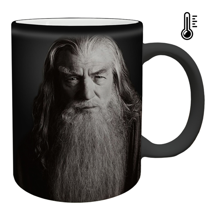 ماگ حرارتی مدل هری پاتر کد 60