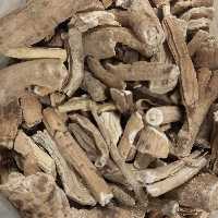 تربد - 1 کیلو