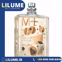 عطر ادکلن اسنتریک مولکولز مولکول 01   پچولی 100 میل مردانه – زنانه
