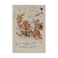 کتاب افسانه های صحرا اثر عبدالصالح پاک انتشارات سروش