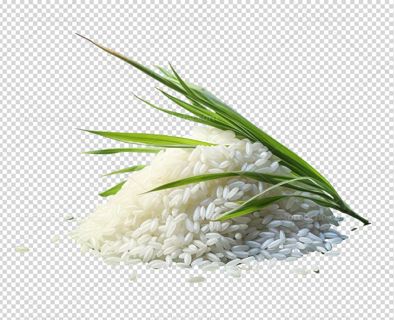 عکس PNG دانه های برنج | گرافیک با طعم تربچه