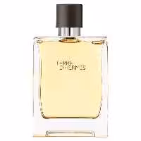 عطر ادکلن تق هرمس پرفیوم (تغ دی هغمس پارفوم) 200 میل مردانه