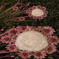 بک دراپ نوزادی طرح گل | گرافیک با طعم تربچه