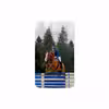 برچسب پوششی ماهوت مدل Equestrianism مناسب برای تبلت سامسونگ Galaxy Tab 3 8.0 2013 T315