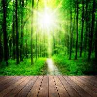 خرید و دانلود عکس Nature-Part-6 کد 37073 | پیک فاکس | Pic Fox