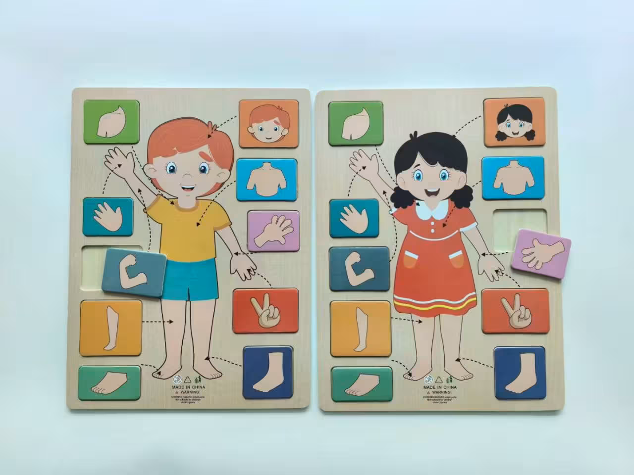 پازل چوبی جانمایی اندام بدن