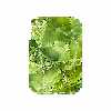 برچسب پوششی ماهوت مدل Green Crystal Marble مناسب برای تبلت اپل iPad mini 2012 A1432