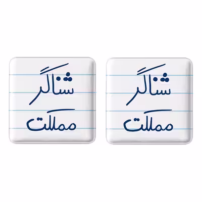 پیکسل خندالو مدل شناگر مملکت کد 5819 مجموعه 2 عددی