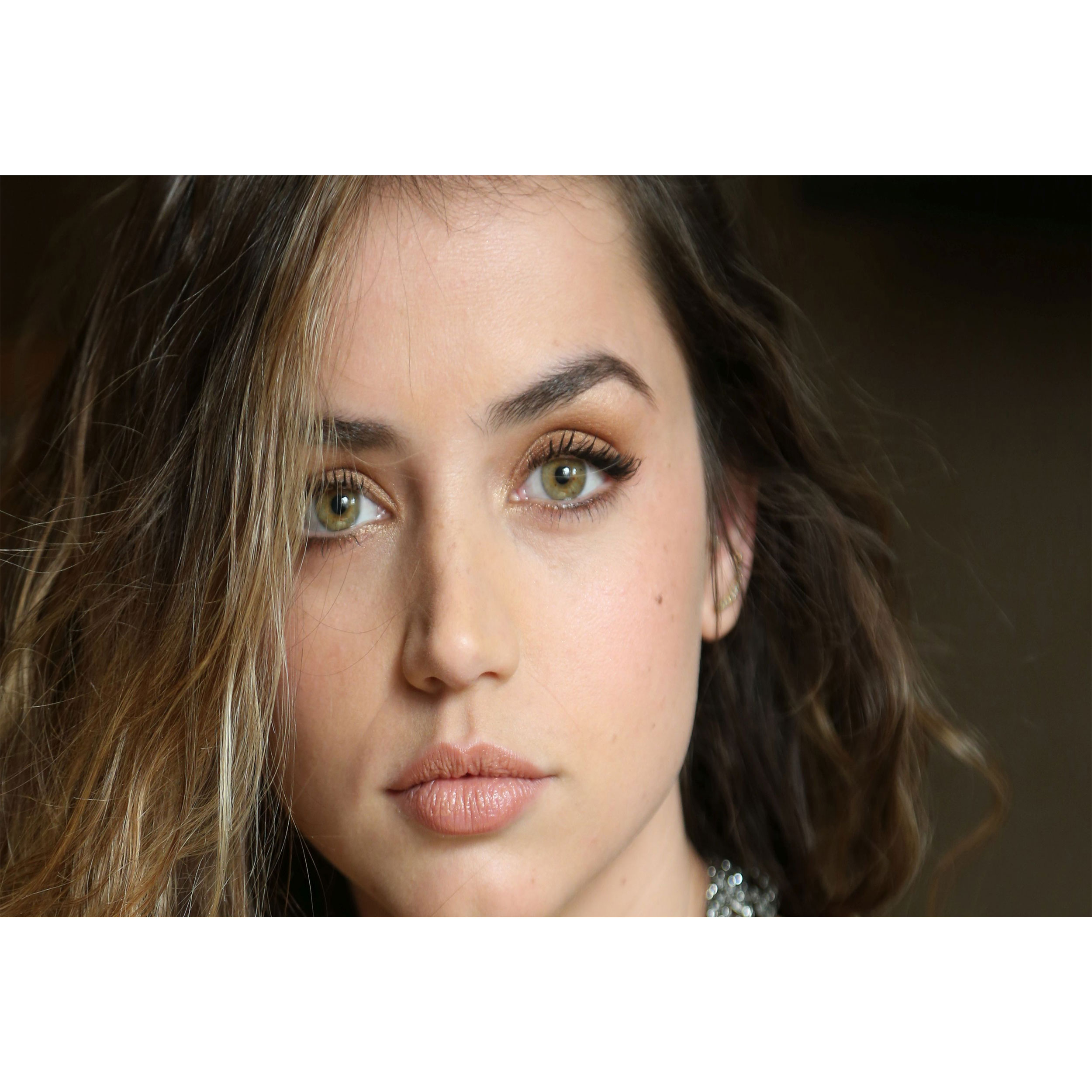 تابلو شاسی مدل بازیگر آنا د آرماس T6298