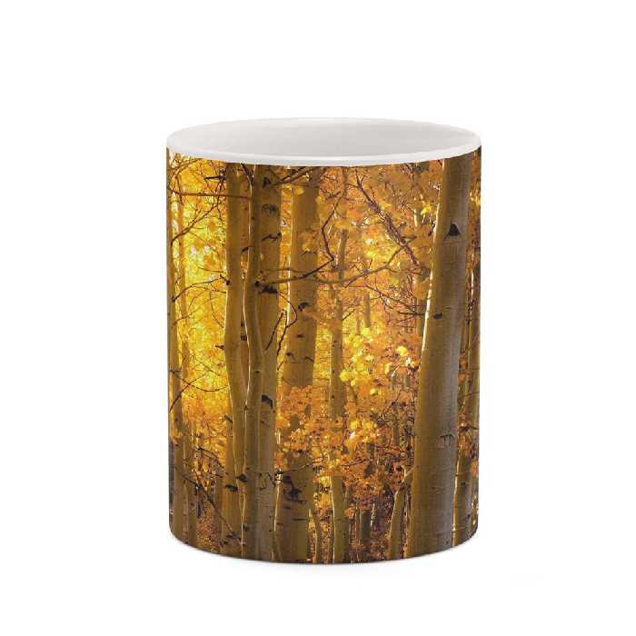 ماگ کاکتی طرح منظره پاییزی مدل mgh18595