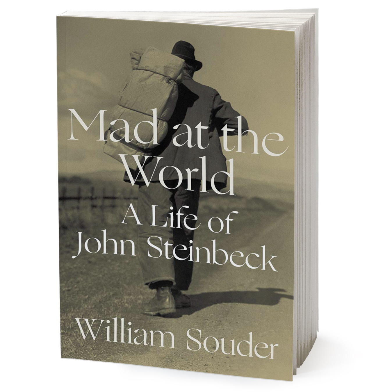 کتاب Mad at the World اثر William Souder انتشارات W W Norton & Company