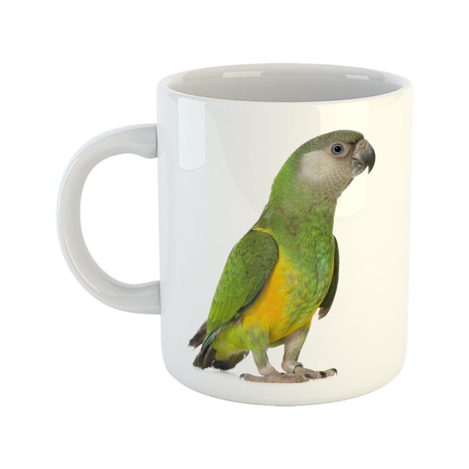 ماگ طرح طوطی مدل Senegal parrot